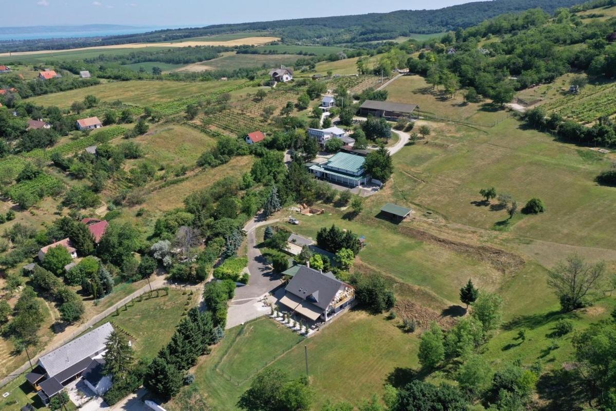 Borkúti Panzió és Apartman Balatonszárszó Exterior foto
